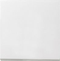 Лицевая панель Gira System55 для 1-кл. выключателя белый матовый картинка